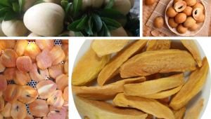 Vizafood xưởng sản xuất chuyên cung cấp Sapoche sấy thăng hoa giá sỉ